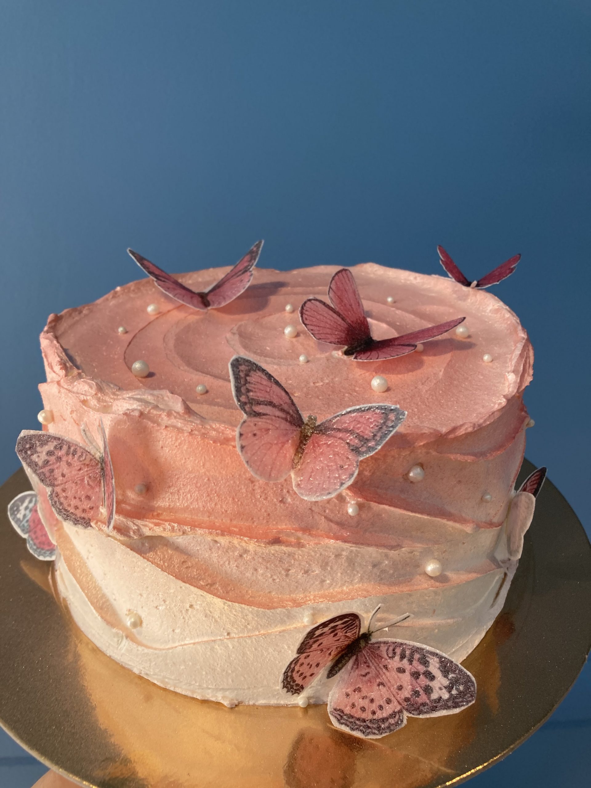 Torta ombre pink sa leptirima (125)