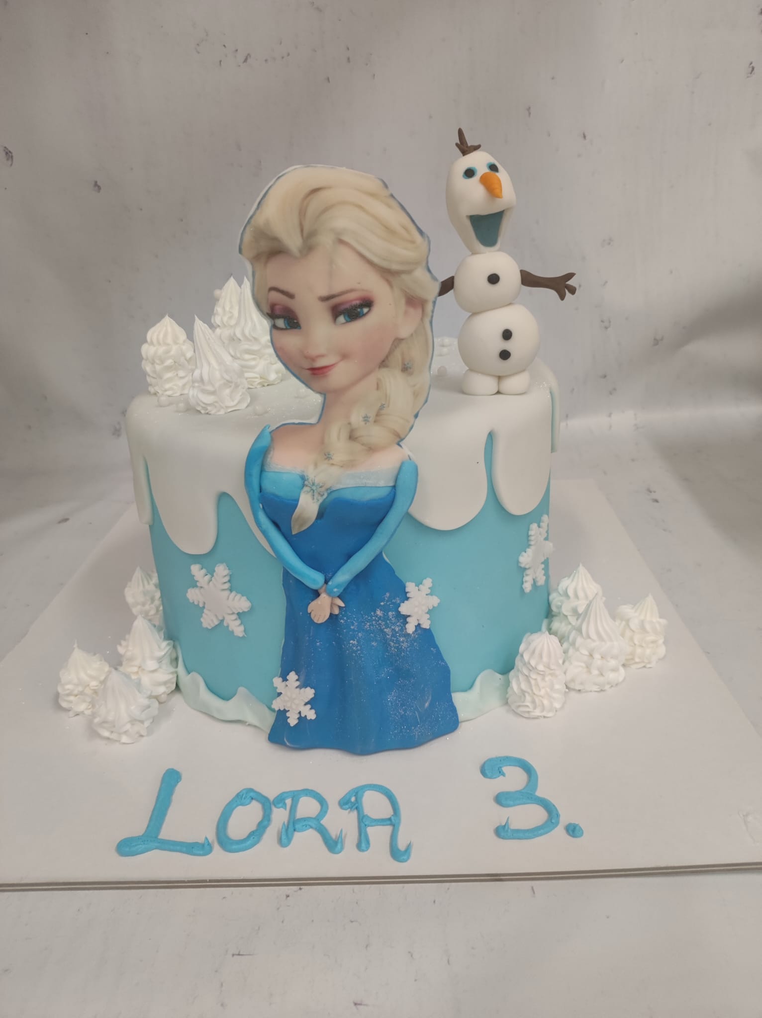 Frozen, Elza i olaf (252)