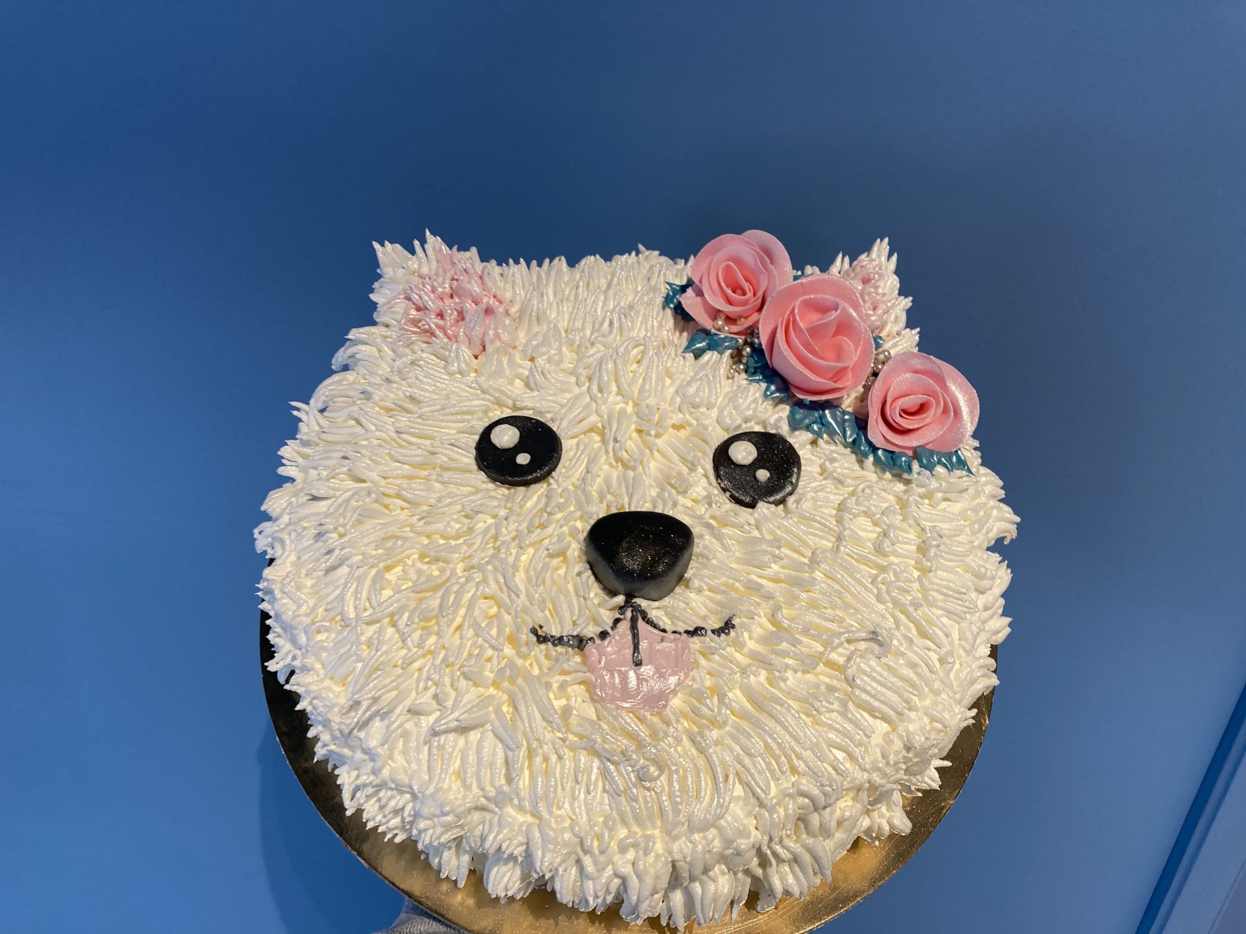 Torta psić, maltezer (165)