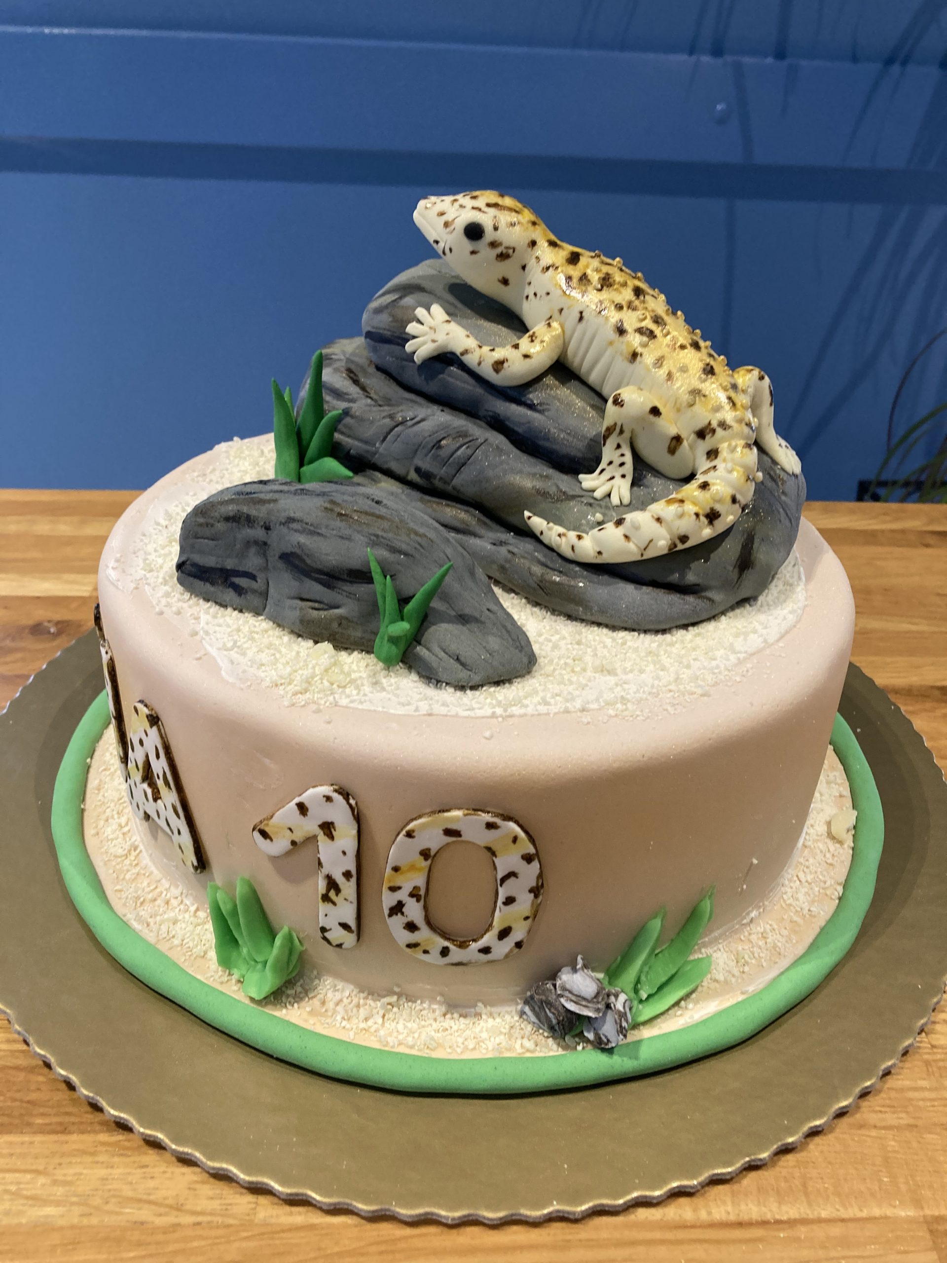 Torta gušter,lizard (136)