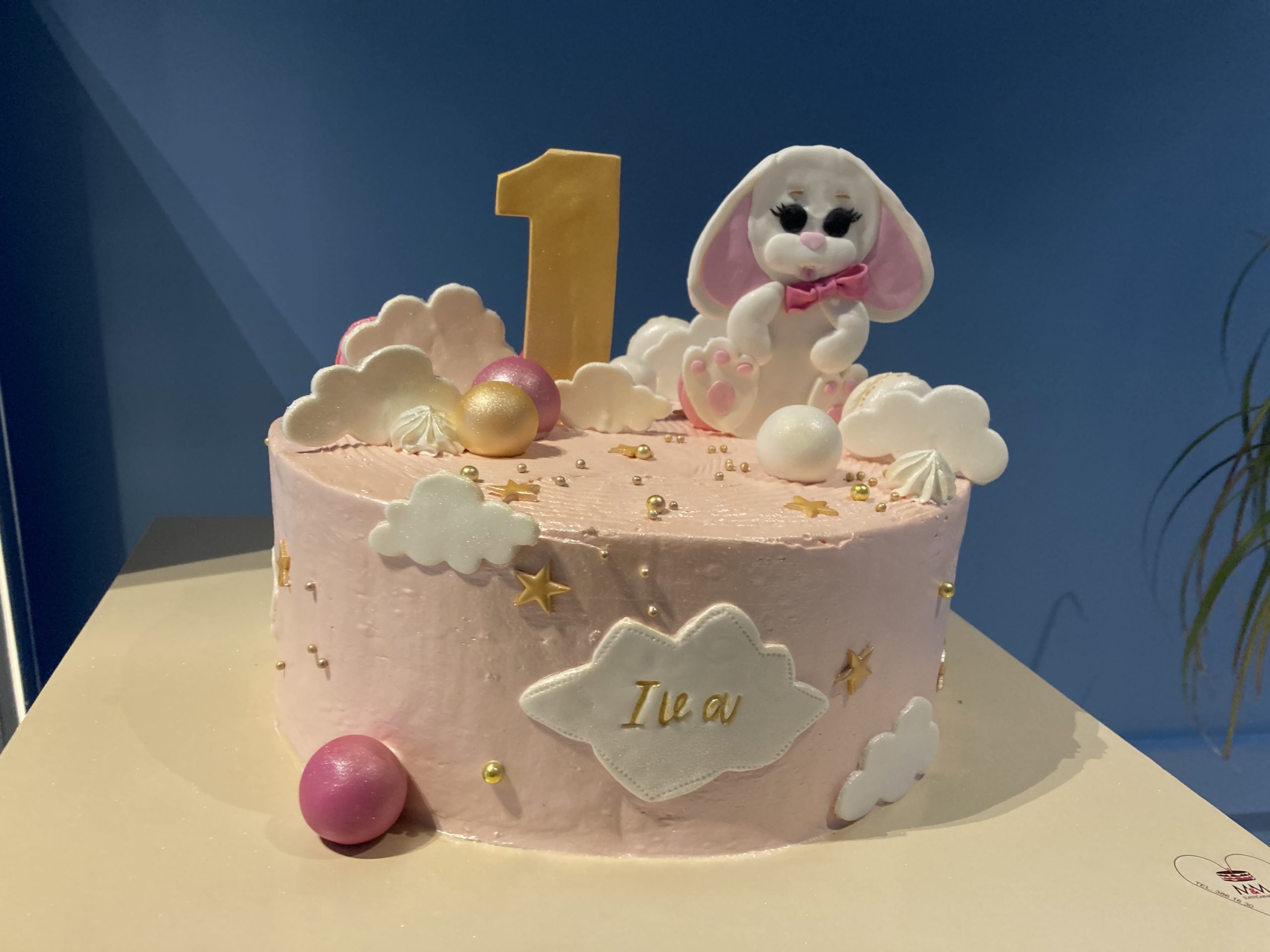 Torta zeko (175)