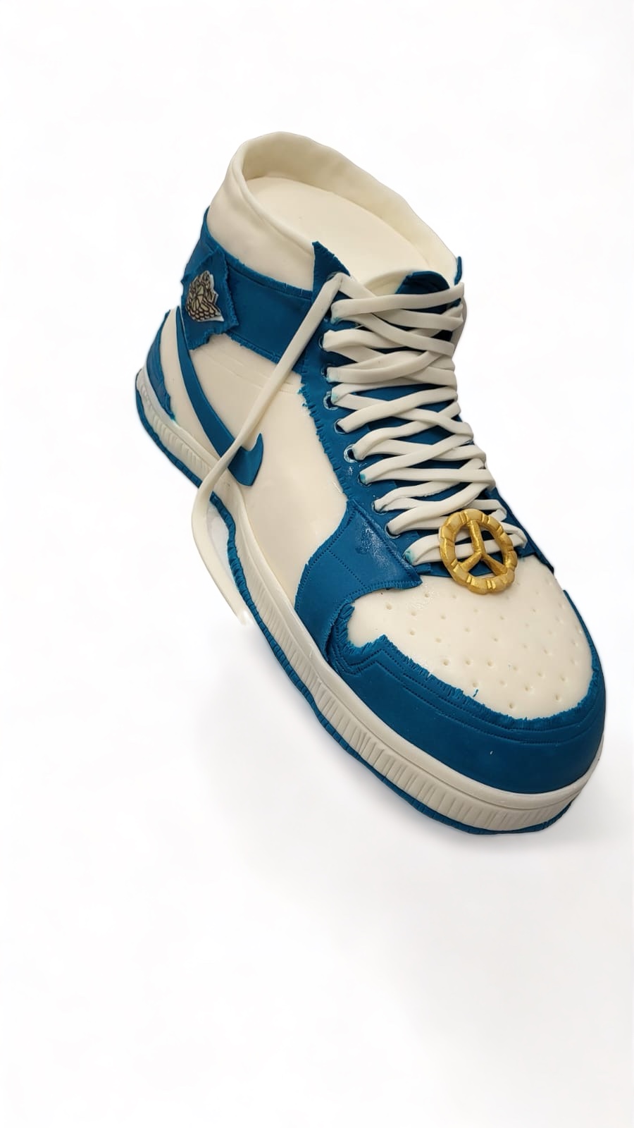 Nike Air Jordan (32)