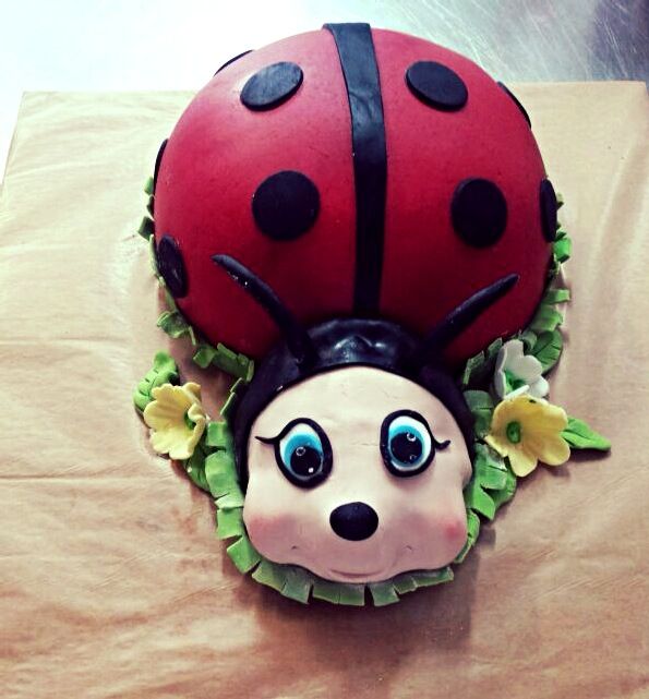 Torta bubamara,ladybug (138)